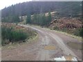 NH6777 : Forestry road in Strath Rory by Steven Brown