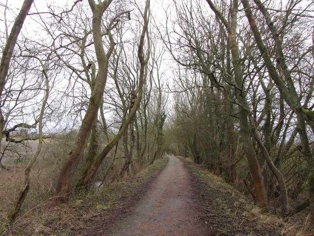 Footpath and cycleway on former MSWJ... © Gareth James :: Geograph ...