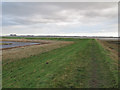 TL9708 : Elbow in sea wall and borrow dyke, Tollesbury Wick  by Roger Jones