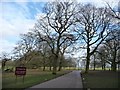 SJ7481 : Tatton Park's trees in winter by Christine Johnstone