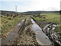 NH9349 : Muddy track near Kronyhillock by Jennifer Jones
