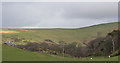 Farmland by Caethle Farm