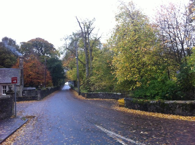 Birthwood Road, Coulter in Autumn