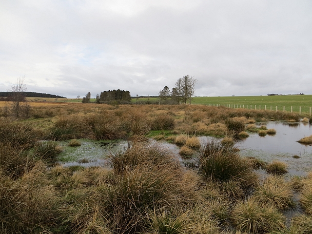 Ford moss northumberland #9