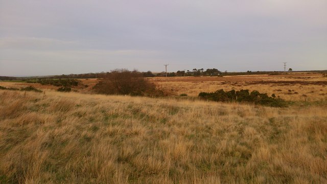 Un-fenced Moorland
