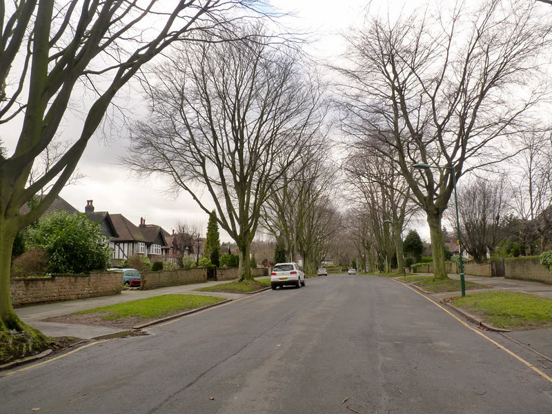 Wollaton Hall Drive © Alan Murray-Rust cc-by-sa/2.0 :: Geograph Britain ...