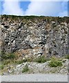 Folding and faulting in the rock face at Aughrim Stone Quarry