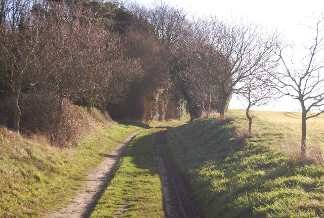 Paston Way by Glover's Plantation © N Chadwick cc-by-sa/2.0 :: Geograph ...