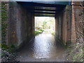 Underneath the railway bridge at East Stour Farm