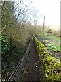 Footpath round Lyar Dene