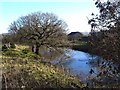 Pond at Middle Heads Farm