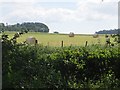 Round bales near Halton Hill