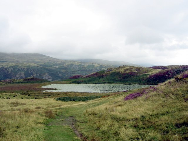 Path to the Bearded Lake