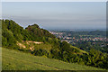 TQ2451 : Colley Hill by Ian Capper