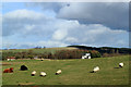 Grazing at Easter Cartmore