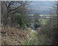 SE5082 : Bridleway descending from Gormire Farm by Trevor Littlewood