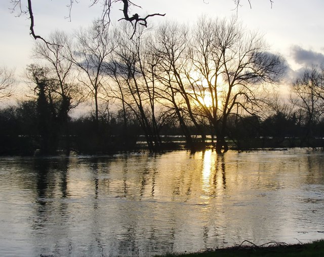 The Thames at Shepperton, February 7th 2014 (1)