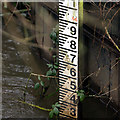 Depth Marker in the River Blackwater, Sandhurst