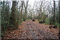 Green Chain Walk, Lesnes Abbey Wood