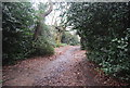 Path in Lesnes Abbey Woods