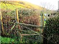 Rickety stile near Christow station