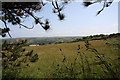 Farmland on the lower slopes of Carn Marth