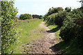 Bridleway on Carn Marth