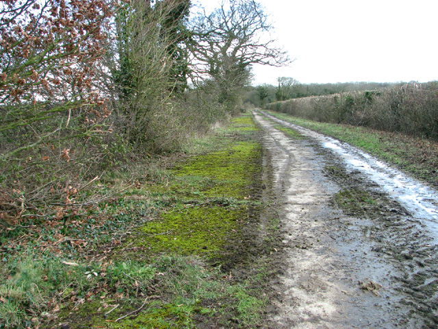 Moss-covered Banham's Lane