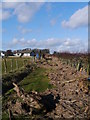 Obstructions On The Coastal Path