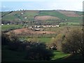 Ellerhayes from Killerton Park