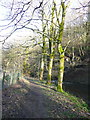 Permissive riverside footpath, Ripponden