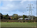 Farmland near Wombourne, Staffordshire