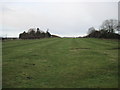 TA1440 : Ridge  and  Furrow.  North  Skirlaugh  Farm. by Martin Dawes