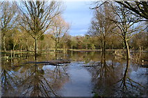 SU3226 : Flooded car park, Mottisfont Abbey by David Martin