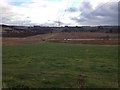 Farmland at Fernybrae