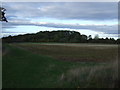 Farmland towards Monks Wood