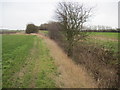 TA1734 : Field  edge  footpath  to  Wyton by Martin Dawes