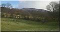 Afon Carno valley: view from the train towards Carreg-Hir from below Plas-Newydd