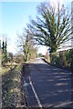 Churn Lane looking south east