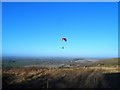 Paraglider, Dunstable Downs