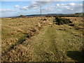 Footpath through rough grazing land