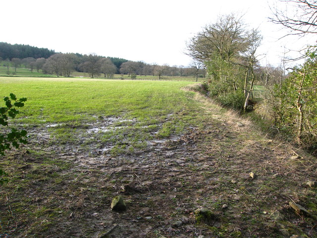 Footpath through grazing land