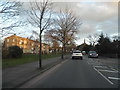 The A205, Dulwich Common