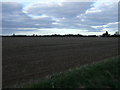 Farmland near Gorse Farm