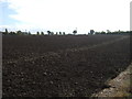 Ploughed field off Hermitage Lane