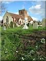 Snowdrops by St Michael