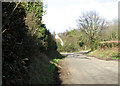 Approaching Warren Anne on Flixton Marsh Lane