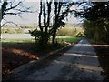 Footpath to New Barn Farm emerges from woodland