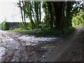 Road going north from Madehurst with turning to residence