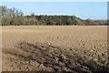 Fields towards Bale Wood